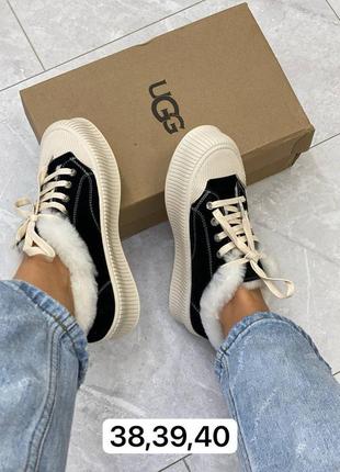 Кеды кроссовки зима черные белые беж угги ugg
