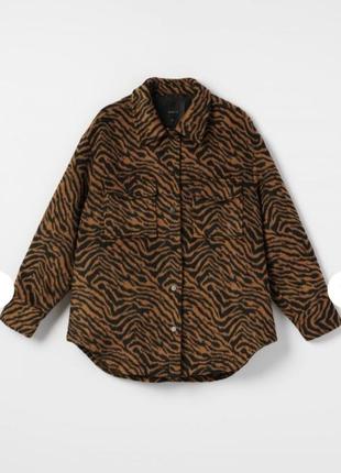 Тепла сррочка mohito