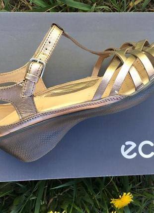 Женские босоножки ecco sculptured sign sandal 247543 548934 фото