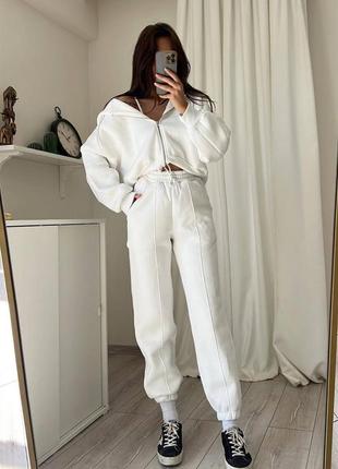 Теплий спортивний костюм на флісі штани і кофта на блискавці з капюшоном