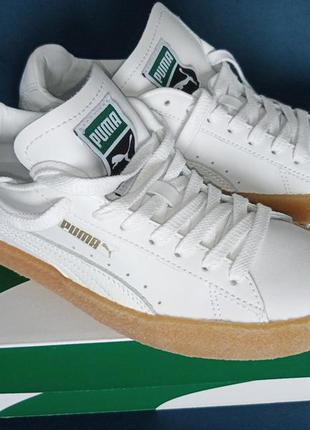 Puma 38