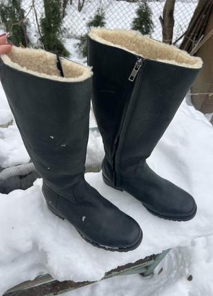 Зимние сапоги ugg