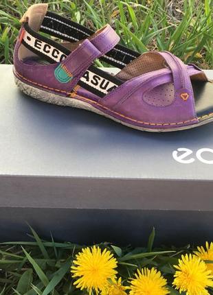 Женские сандалии ecco true sandal  045613 02449