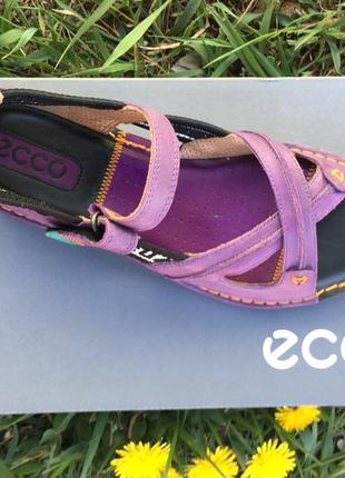 Женские сандалии ecco true sandal  045613 024492 фото