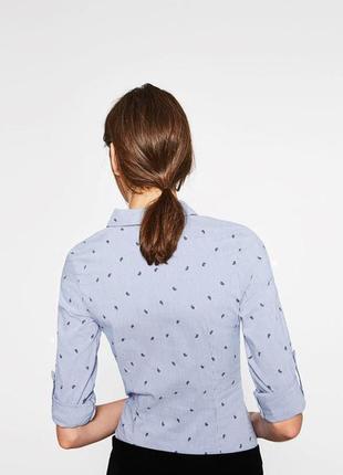Модная поплиновая рубашка в бело - синею полоску zara basic collection made in spain3 фото