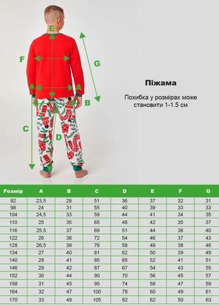 Детская пижама |  с начесом | 100% хлопок | 128,134,140 | идеальный новогодний подарок для мальчика smil5 фото