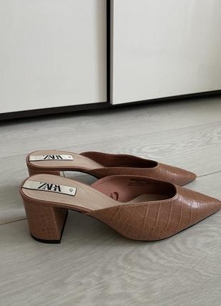 Туфлі лодочки zara 20263911111193