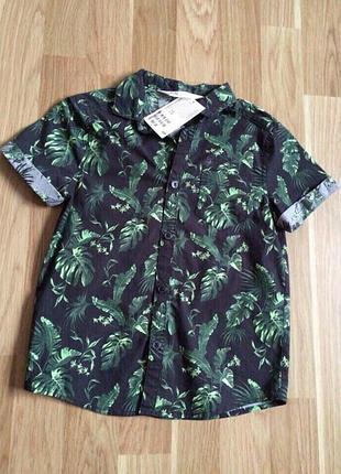 Сорочка з коротким рукавом на хлопчика 98 см 110 см h&m