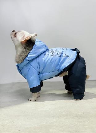 Комбінезон зі знімними штанами для собак, блакитний1 фото