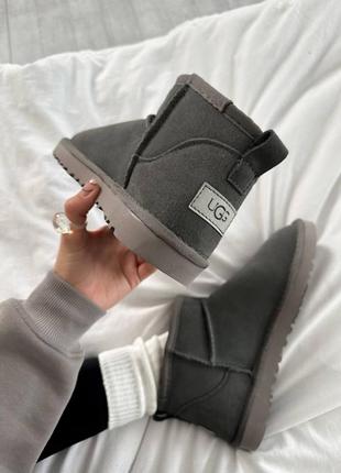 Уггі угги уги угі ugg ultra mini grey suede6 фото