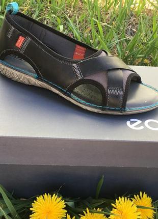 Женские сандалии   ecco true sandal  045643 52575