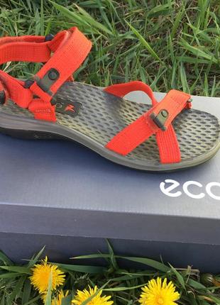 Женские сандалии ecco receptor sandal 722103 22333