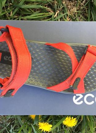 Женские сандалии ecco receptor sandal 722103 223332 фото