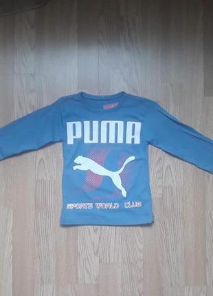 Реглан трикотажный puma на мальчика, 2-3 года2 фото