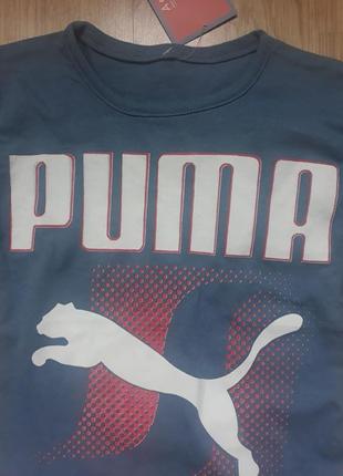 Реглан трикотажный puma на мальчика, 2-3 года4 фото