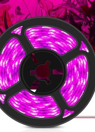 5 м светодиодная фитолампа фитолента фито лента лампа  usb, 5 в, 3528  usb розовый