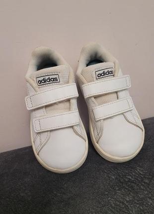 Кросівки adidas 21 р, 14 см3 фото