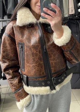 Дублянка коротка