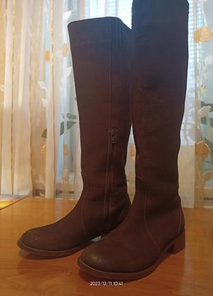 Чоботи жіночі