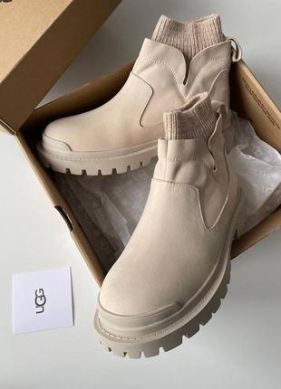 Черевики ugg premium