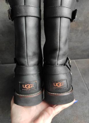 Черевики ugg6 фото