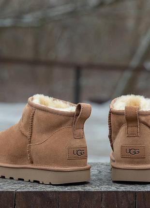 Зимние угги Ugg кросівки шкарпетки suede2 фото