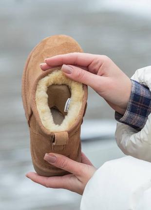Зимние угги Ugg кросівки шкарпетки suede5 фото