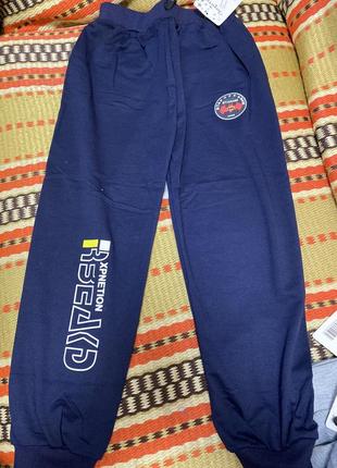 Брюки дву-штаны брюки деми демисезон