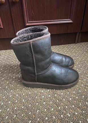 Угги ugg