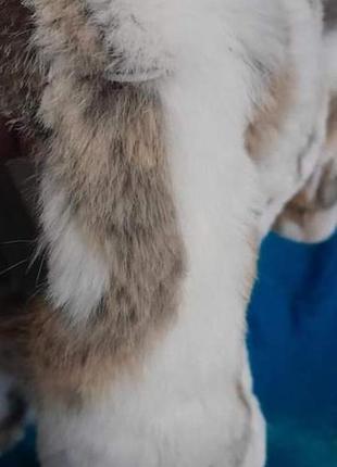 Шуба натуральна кролік під білу полярну  лисицю5 фото