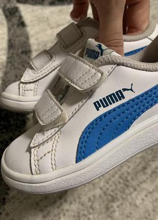 Кеды puma оригинал