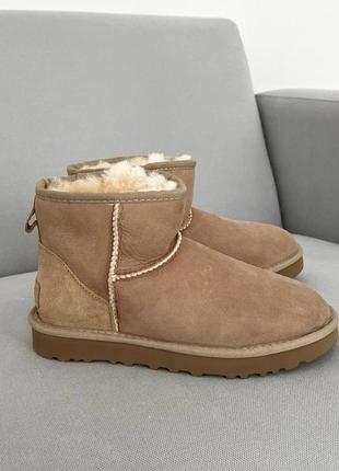 Женские ugg classic mini brown premiun
