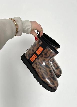 Женские ugg classic clear mini leo