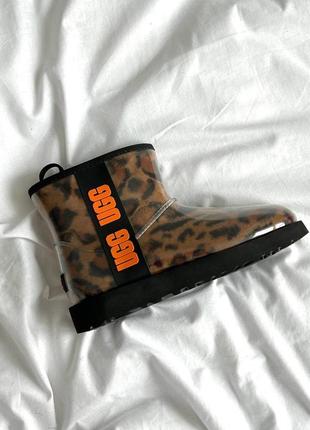 Женские ugg classic clear mini leo2 фото