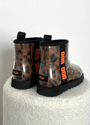 Женские ugg classic clear mini leo4 фото