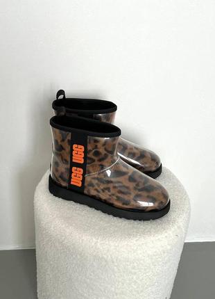 Женские ugg classic clear mini leo6 фото