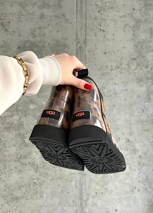 Женские ugg classic clear mini leo3 фото