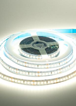 Led стрічка avt 24в холодна біла smd2835 168led/m ip20, 1м