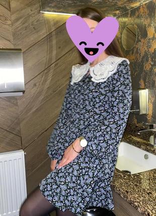 Шикарна сукня з комірцем тренд