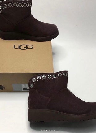 Зимние замшевые ботинки сапоги ugg оригинал 35, 36, 375 фото