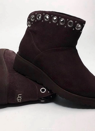 Зимние замшевые ботинки сапоги ugg оригинал 35, 36, 374 фото