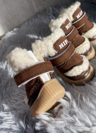 Зимові чоботи для собак. зимове взуття для собак3 фото