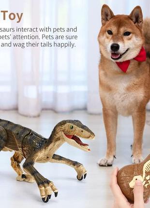 Динозавр с дистанционным управлением ходячий ревущий с 3d-глазами оригинал