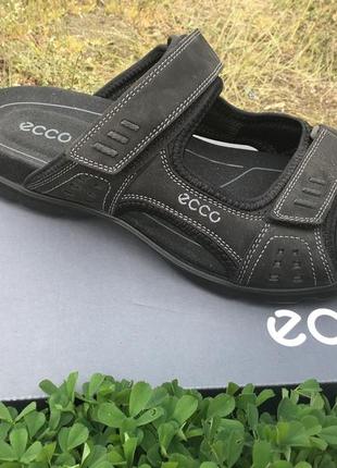 Мужские шлепанцы   ecco utah 834124  02001