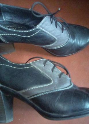 Туфли на шнуровке кожаные с коричневыми вставками
