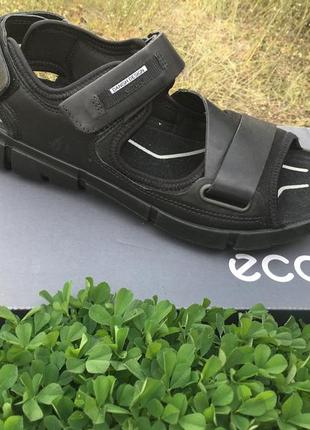 Мужские сандалии   ecco intrinsic sandal men`s  842054 510521 фото