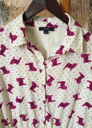 Миле плаття в собачки zara