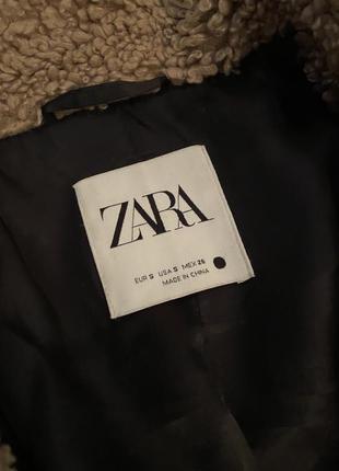 Шуба тедди от zara9 фото