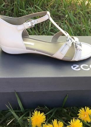 Жіночі сандалі ecco bouillon sandal ii 352573 01007