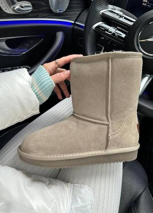 Високі уггі ugg розпродаж